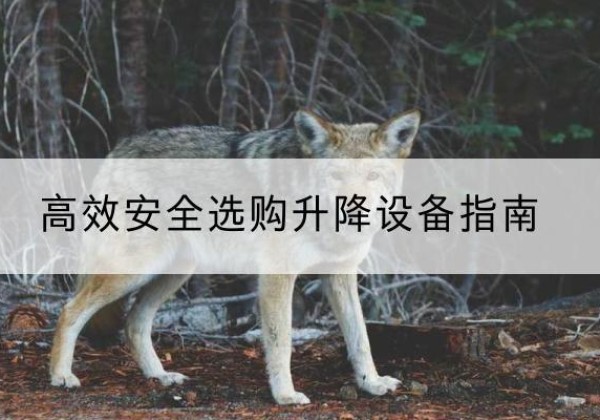 恭城升降货梯厂家推荐-*安全选购升降设备指南