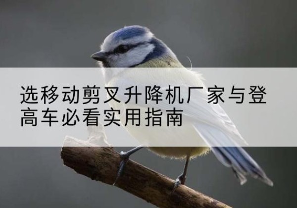 恭城电动升降机厂家-选移动剪叉升降机厂家与登高车必看实用指南