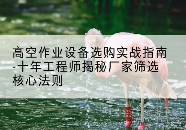 恭城剪叉式升降机厂家-高空作业设备选购实战指南-十年工程师揭秘厂家筛选核心法则